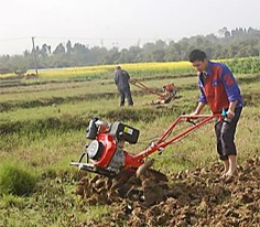 Cultivator machine 1