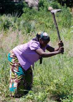 Woman hoeing 3